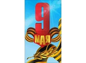 День Победы №65